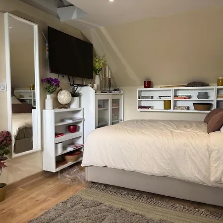 F1 Meuble Duplex Etage 1 아파트 일커치그라펜스다든