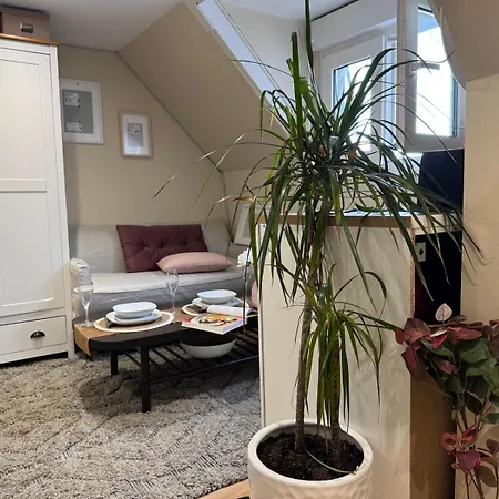 아파트 F1 Meuble Duplex Etage 1