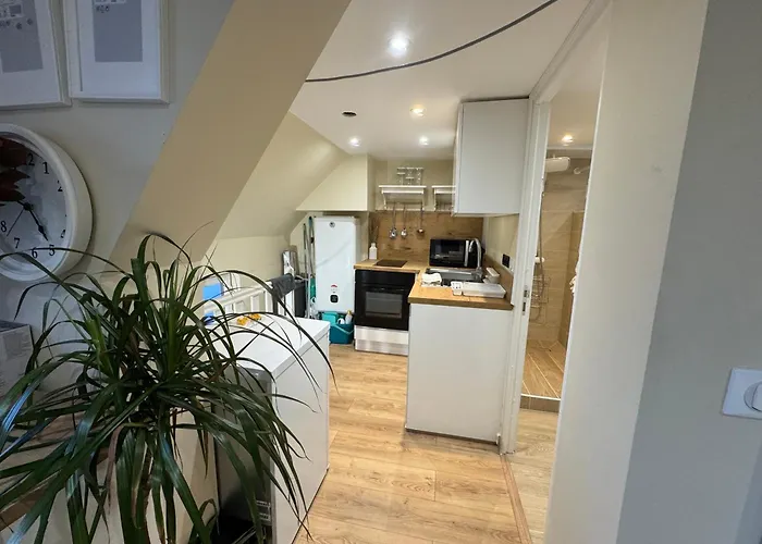 Lejlighed F1 Meuble Duplex Etage 1 *