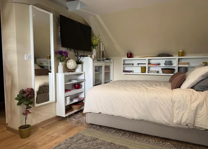 F1 Meuble Duplex Etage 1 Lejlighed Illkirch-Graffenstaden